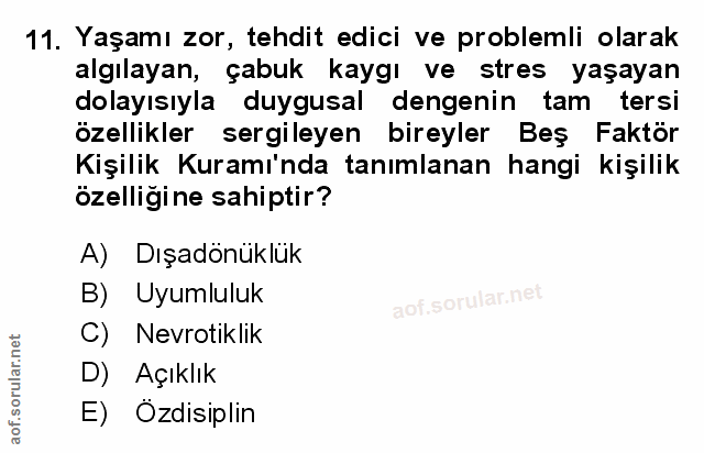 Soru 11