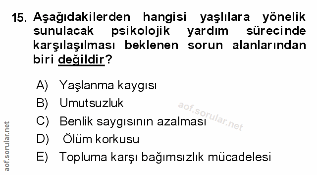 Soru 15