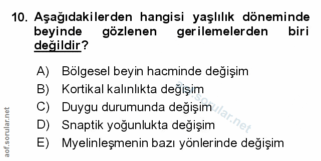 Soru 10