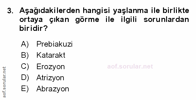 Soru 3