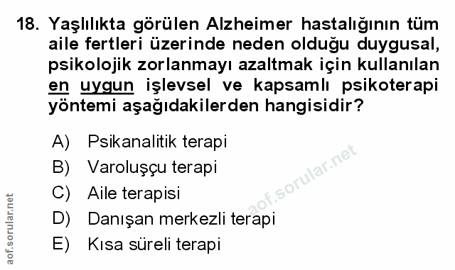 Soru 18