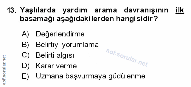 Soru 13