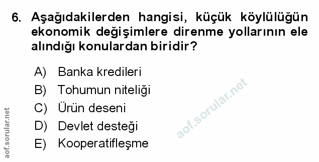 Soru 6