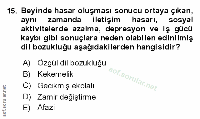 Soru 15