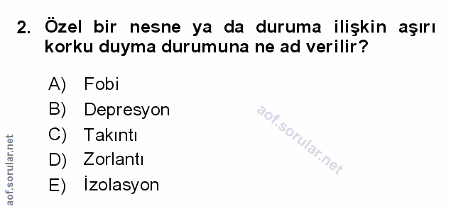 Soru 2