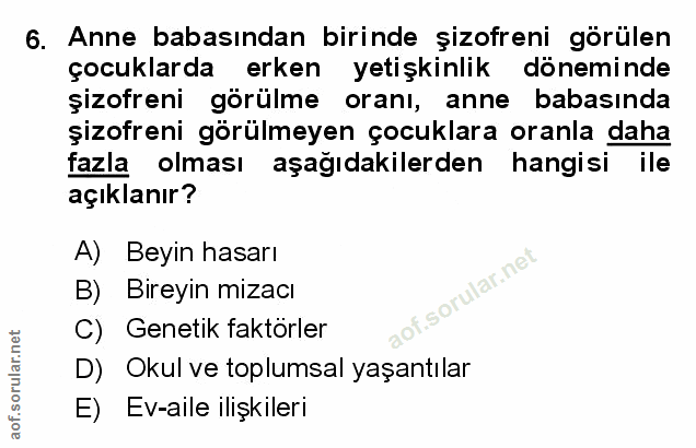 Soru 6