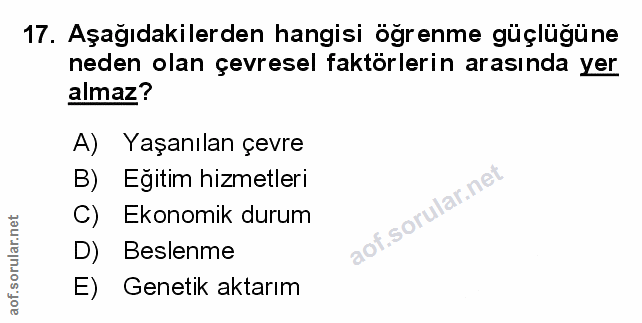 Soru 17