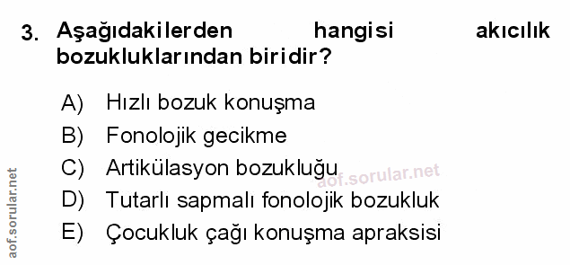 Soru 3