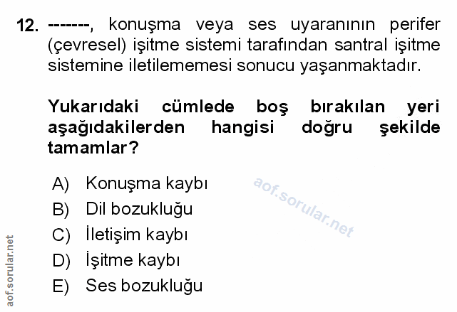 Soru 12