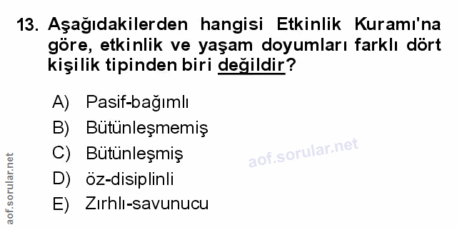 Soru 13