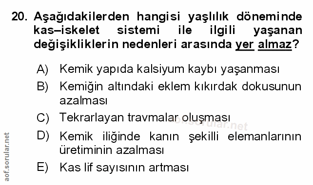Soru 20