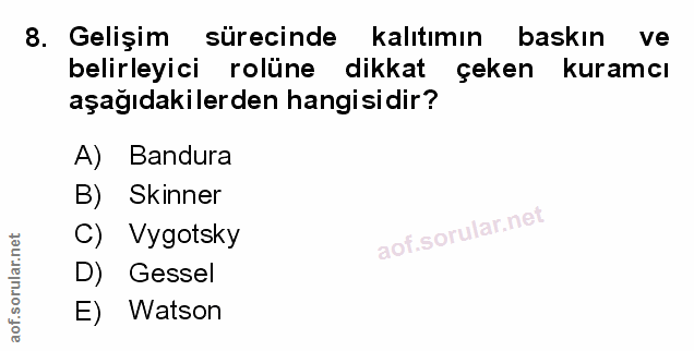 Soru 8