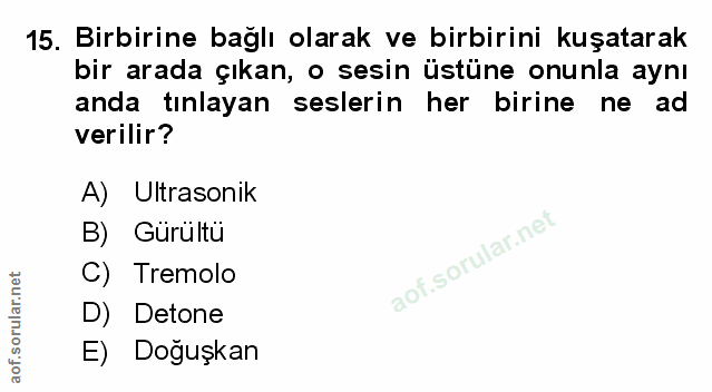 Soru 15