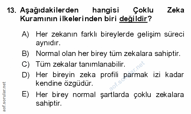Soru 13