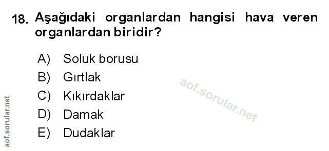 Soru 18