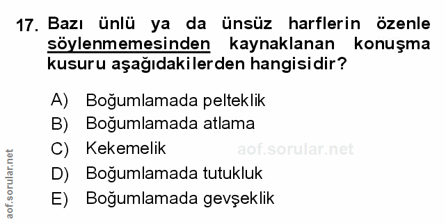 Soru 17
