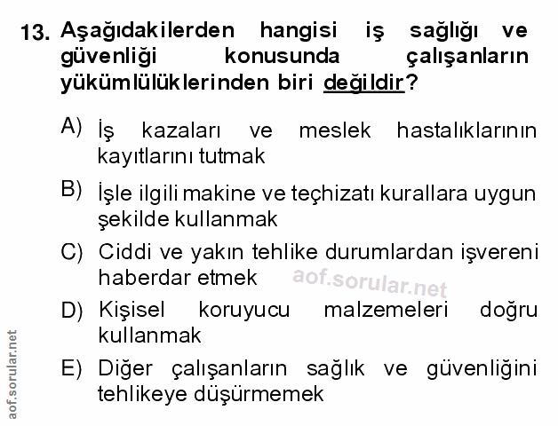 Soru 13
