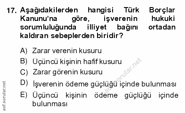 Soru 17