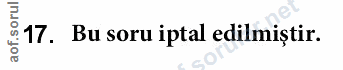 Soru 17