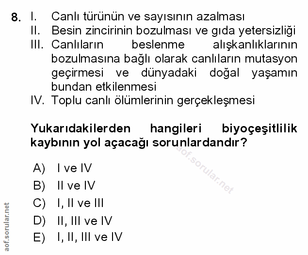 Soru 8