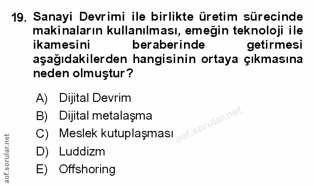 Soru 19