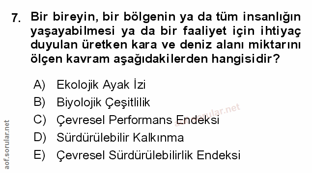 Soru 7