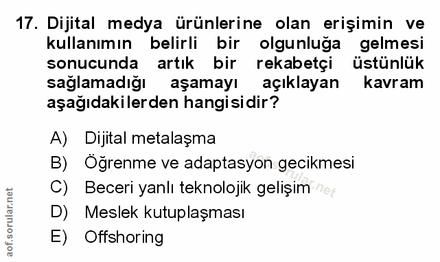 Soru 17