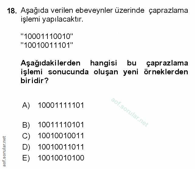 Soru 18