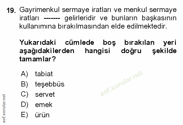 Soru 19