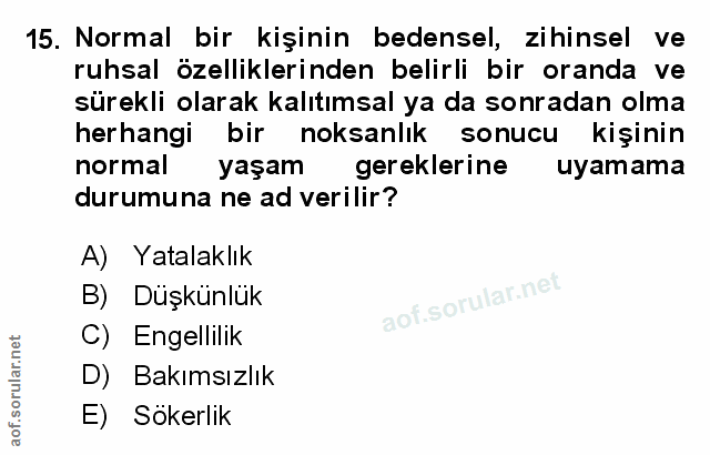 Soru 15