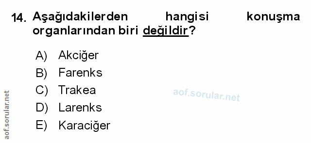 Soru 14