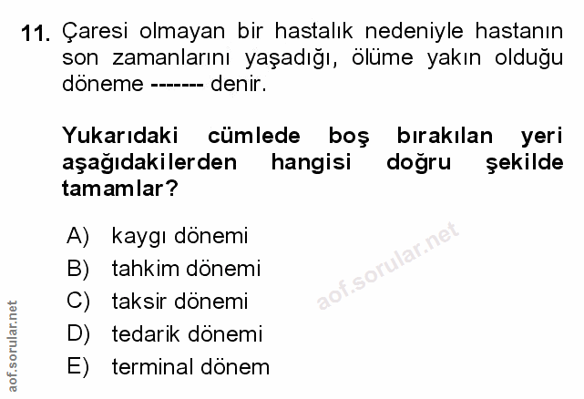 Soru 11