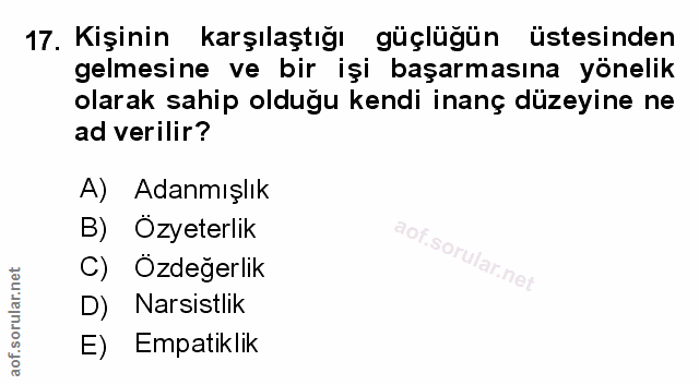 Soru 17