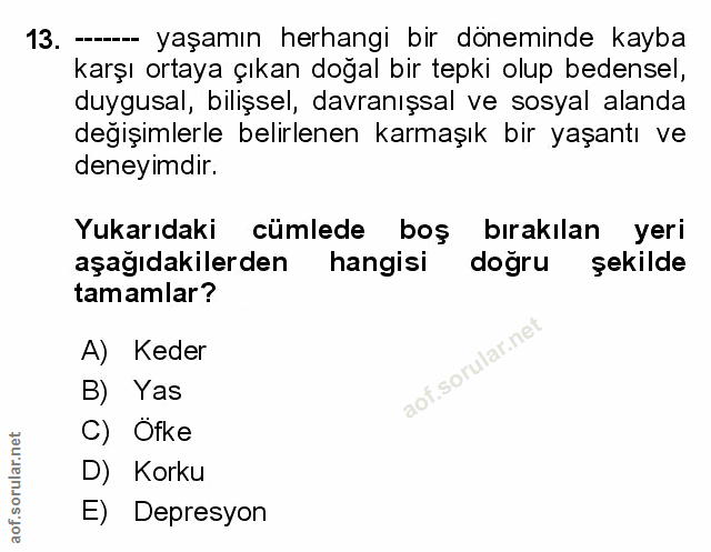 Soru 13