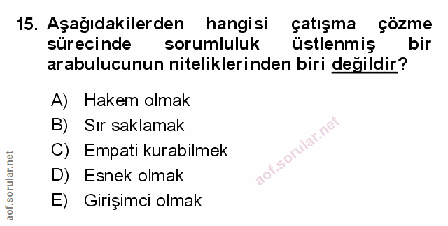 Soru 15