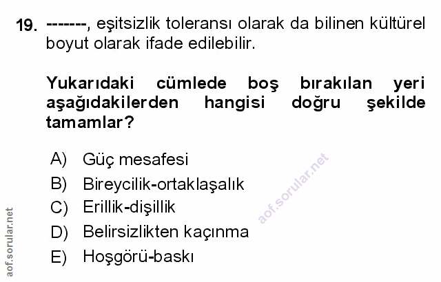 Soru 19