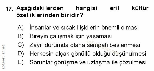 Soru 17