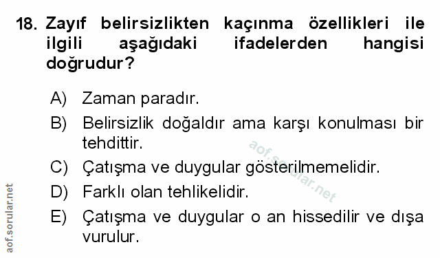 Soru 18