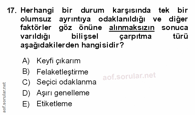 Soru 17