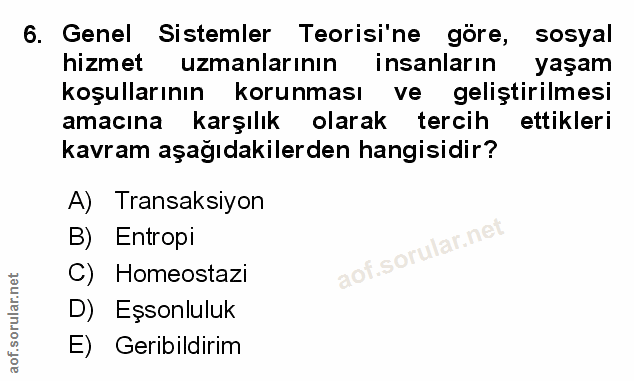 Soru 6