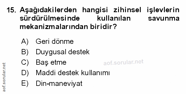 Soru 15