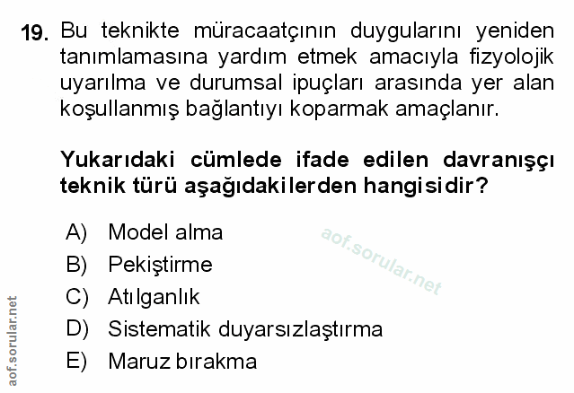 Soru 19