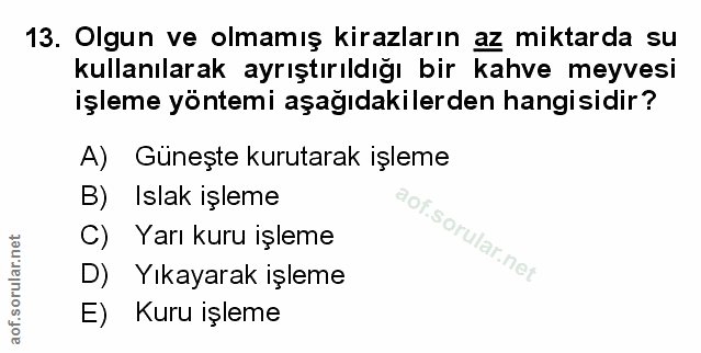 Soru 13