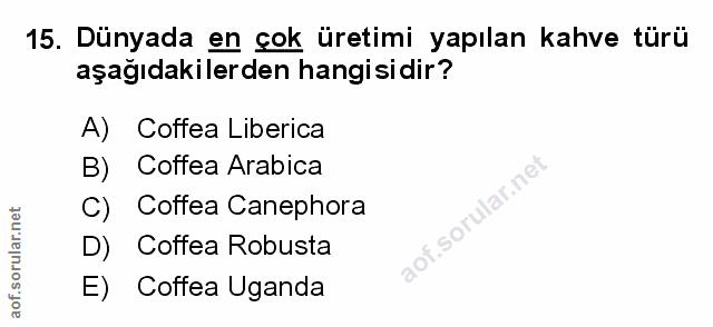 Soru 15