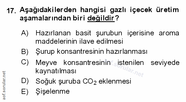Soru 17