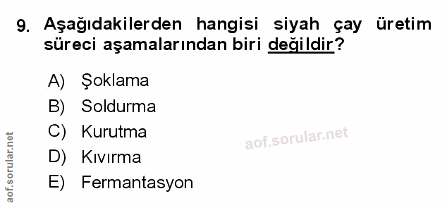 Soru 9