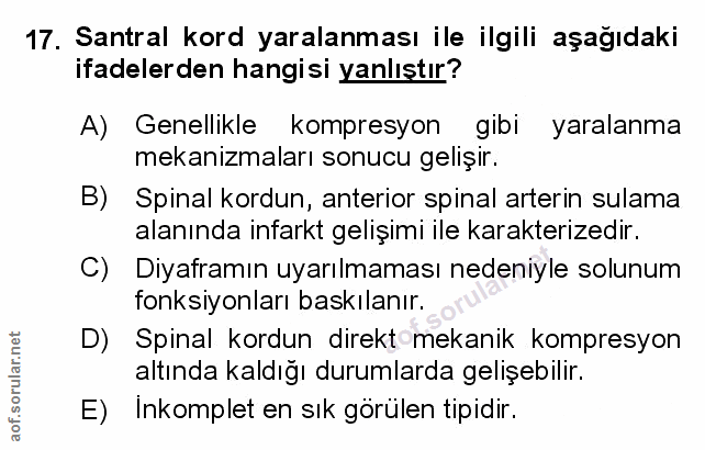 Soru 17