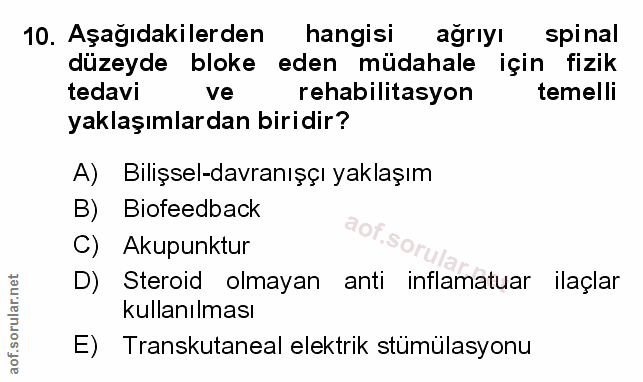 Soru 10