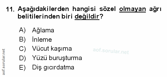 Soru 11