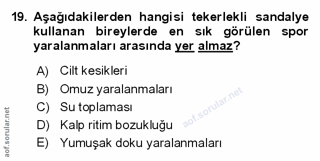 Soru 19